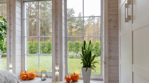 Fenster & Türen